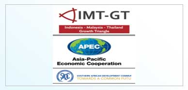 imt-gt