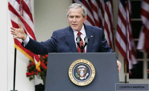 bush